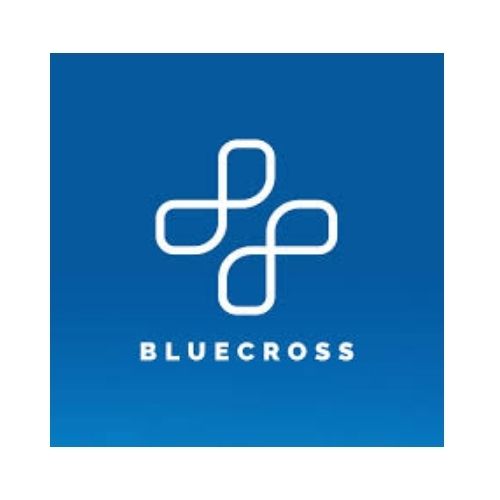 Bluecross Medika Internasional